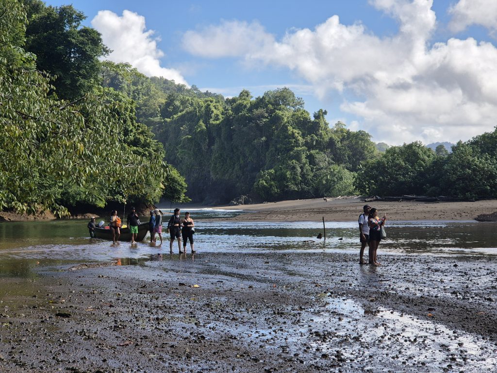 Radio Juntanza, acción y activismo ecofeminista en Colombia desde la escucha biocultural, las artes de mujeres y la justicia climática