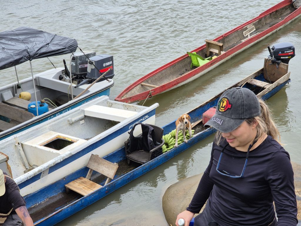 Radio Juntanza, acción y activismo ecofeminista en Colombia desde la escucha biocultural, las artes de mujeres y la justicia climática