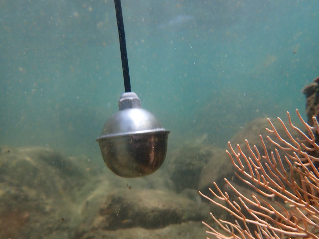 Radio Juntanza, acción y activismo ecofeminista en Colombia desde la escucha biocultural, las artes de mujeres y la justicia climática